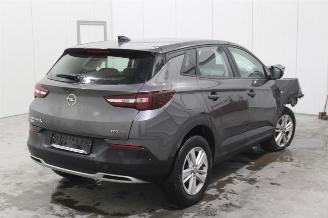 Opel Grandland X picture 3