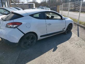 Renault Mégane Megane picture 2