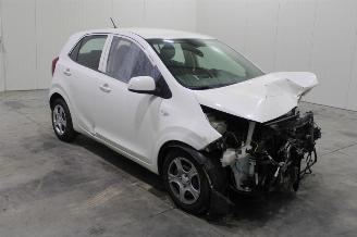 Kia Picanto  picture 2