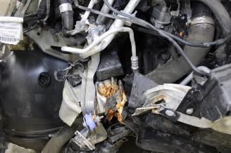 Citroën Berlingo  picture 20