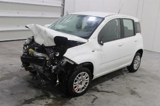 krockskadad bil auto Fiat Panda  2019/9