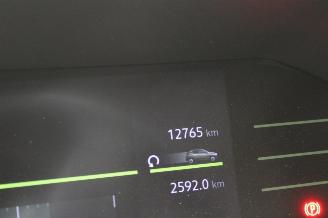 Dacia Spring  picture 13