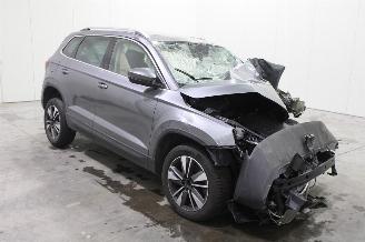 Skoda Karoq  picture 3
