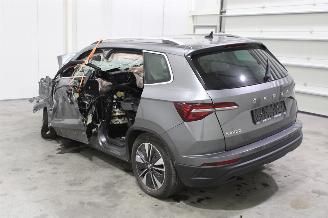 Skoda Karoq  picture 5