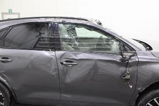 DS Automobiles DS 7 Crossback DS7 Crossback picture 20