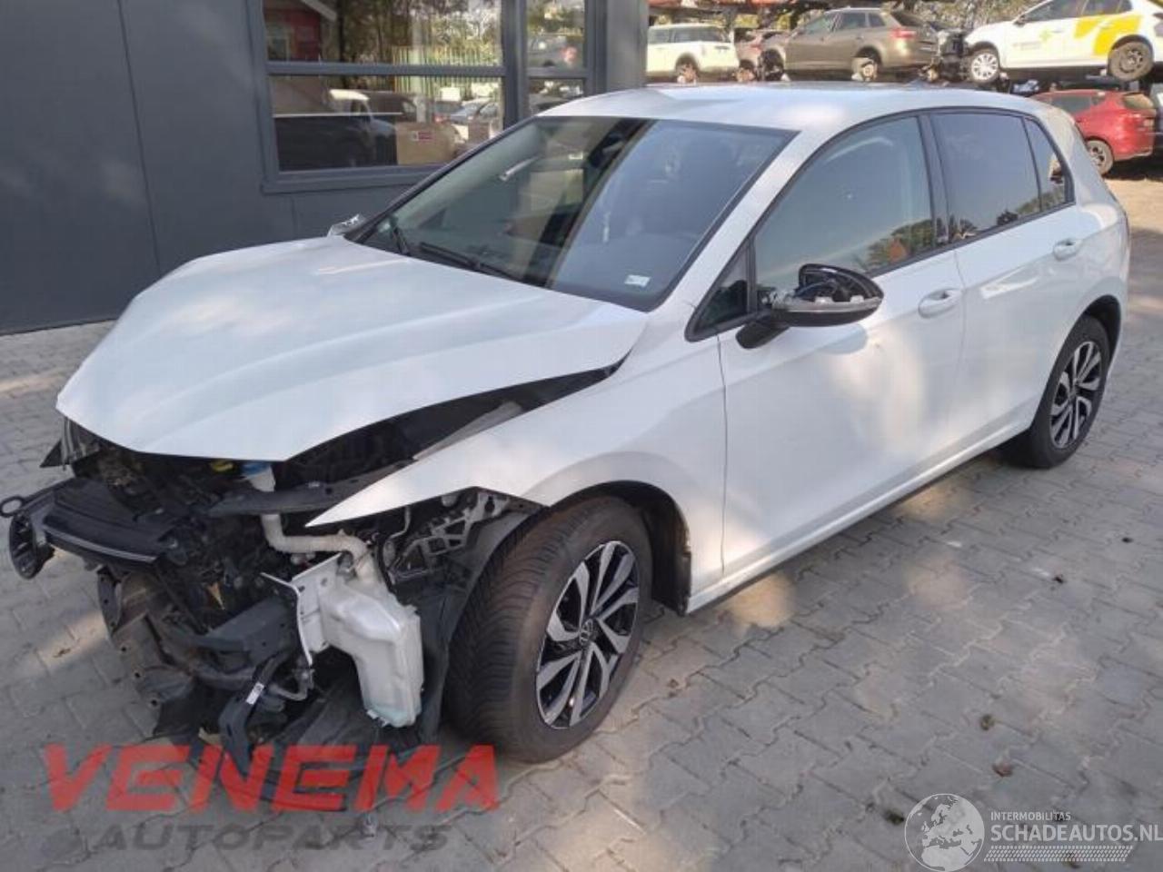 Volkswagen Golf Golf VIII (CD1), Hatchback, 2019 1.0 eTSI 12V