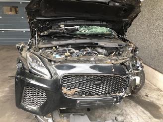 Avarii autoturisme Jaguar E-Pace DIESEL - 2000CC - 132KW 2018/8