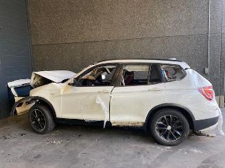 BMW X3 (F25) SUV 2010 / 2017 xDrive20d 16V SUV  Diesel 1.995cc 135kW (184pk) picture 3