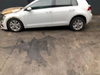 Volkswagen Golf  picture 3