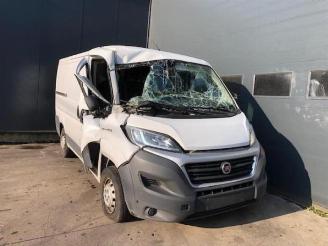 Dezmembrări autoturisme Fiat Ducato  2017/4