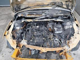 Volkswagen Polo Polo VI (AW1), Hatchback 5-drs, 2017 1.0 TSI 12V picture 13