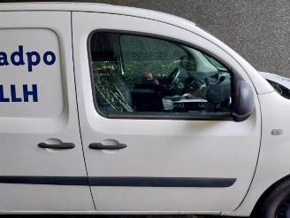 Renault Kangoo Kangoo Express (FW), Van, 2008 1.5 dCi 75 picture 16