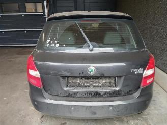 Skoda Fabia Fabia II (5J), Hatchback 5-drs, 2006 / 2014 1.2i 12V picture 13