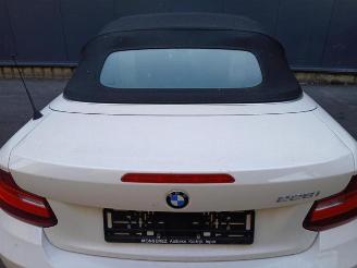 BMW 2-serie 2 serie (F23), Cabrio, 2014 / 2021 228i 2.0 Turbo 16V picture 11