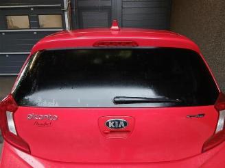 Kia Picanto Picanto (JA), Hatchback, 2017 1.0 T-GDI 12V picture 15