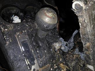 Audi Rs3 RS 3 Sportback (8VA/8VF), Hatchback 5-drs, 2015 / 2020 2.5 TFSI 20V Quattro picture 17