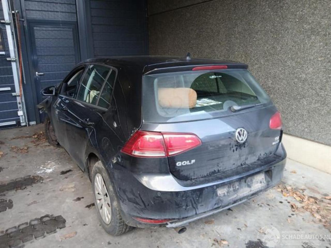 Volkswagen Golf Golf VII (AUA), Hatchback, 2012 / 2021 1.6 TDI 16V