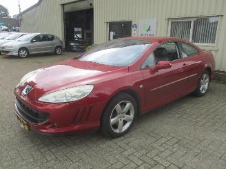 Peugeot 407 coupe picture 4