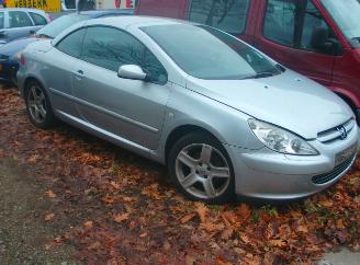 Peugeot 307 cc picture 1