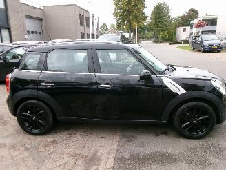 Mini Countryman 1.6 I COOPER EDITION CLIMA NAVI PANO LEDER picture 6
