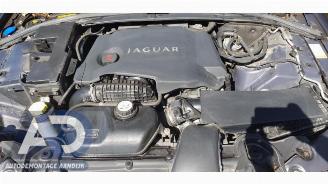 Jaguar XF XF (CC9), Sedan, 2008 / 2015 3.0 D V6 24V picture 13