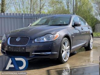 Jaguar XF XF (CC9), Sedan, 2008 / 2015 3.0 D V6 24V picture 1