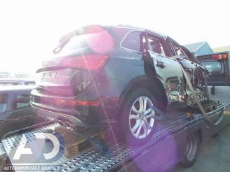 Audi SQ5 SQ5 (8RB), SUV, 2012 / 2017 3.0 TDI V6 24V picture 2