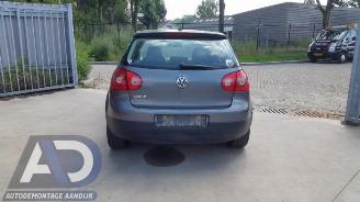 Volkswagen Golf Golf V (1K1), Hatchback, 2003 / 2010 1.9 TDI picture 5