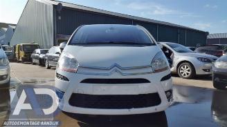 Citroën C4-picasso C4 Picasso (UD/UE/UF), MPV, 2007 / 2013 2.0 HDiF 16V 135 picture 3