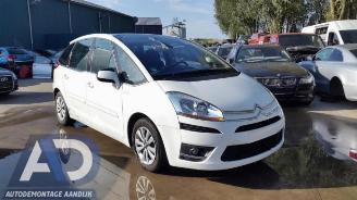 Citroën C4-picasso C4 Picasso (UD/UE/UF), MPV, 2007 / 2013 2.0 HDiF 16V 135 picture 1