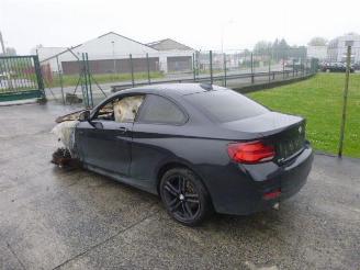BMW 2-serie I COUPE picture 2