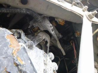 Renault Scenic 1.5 DCI INTENSE picture 12