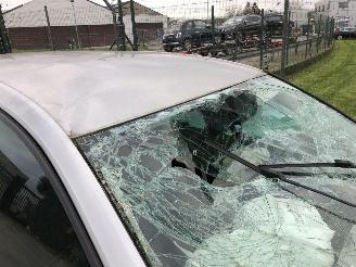 Volkswagen Golf 1.2 TSI  CJZB picture 19