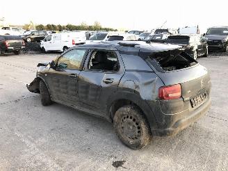 Citroën C4 cactus 1.2 HMZ picture 1
