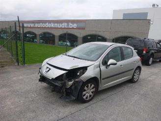 Peugeot 207 1.6 HDI picture 3