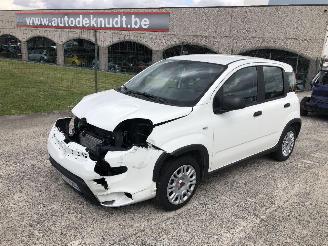 Fiat Panda 1.0 HYBRIDE picture 3