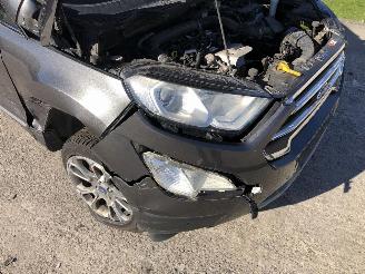 Ford EcoSport 1.0 ECOBOOST picture 10