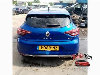 Renault Clio Clio V (RJAB), Hatchback 5-drs, 2019 1.0 TCe 100 12V picture 1