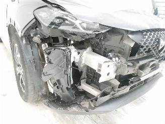 DS Automobiles DS 3 CROSSBACK BASTIL picture 9