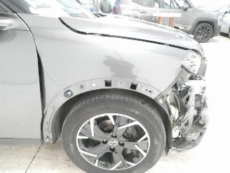 DS Automobiles DS 3 CROSSBACK BASTIL picture 10