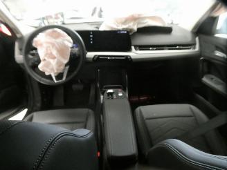 BMW X2 SDRIVE20I picture 16