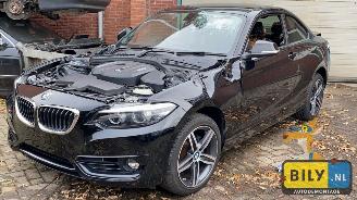 Vrakbiler auto BMW  F22 218i 2018/9