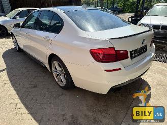 BMW  F10 518D Alpinewiess 3 picture 4