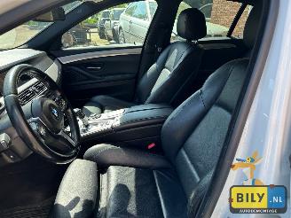 BMW  F10 518D Alpinewiess 3 picture 13