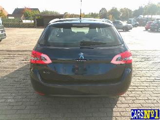 Peugeot 308  picture 5