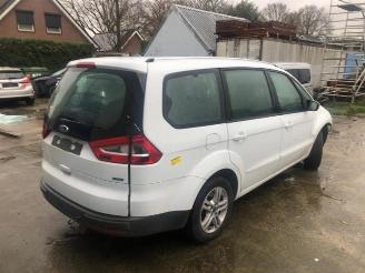 Ford Galaxy Galaxy (WA6), MPV, 2006 / 2015 1.6 EcoBoost 16V picture 6