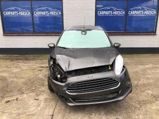 Ford Fiesta Fiesta 6 (JA8), Hatchback, 2008 / 2018 1.0 EcoBoost 12V 100 picture 1