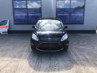 Ford Grand C-Max Grand C-Max (DXA), MPV, 2010 / 2019 1.0 Ti-VCT EcoBoost 12V 125 picture 1