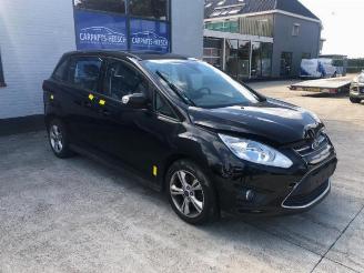 Ford Grand C-Max Grand C-Max (DXA), MPV, 2010 / 2019 1.0 Ti-VCT EcoBoost 12V 125 picture 3