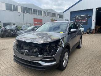 disassembly passenger cars Opel Grandland Grandland (X), SUV, 2017 1.5 CDTI 130 2020